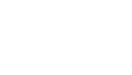 logo dualis white