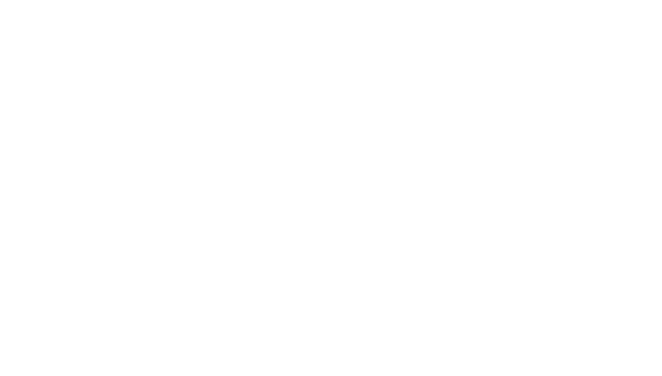 logo thijsart 2024 white