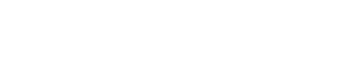 logo wit budoryushop