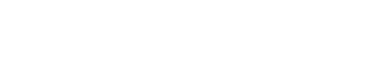 logo wit pelen financieel advies